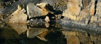 Steinbruch_120x52