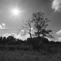 An_der_Schunter_100x100cm