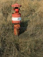 Hydrant_90x120cm